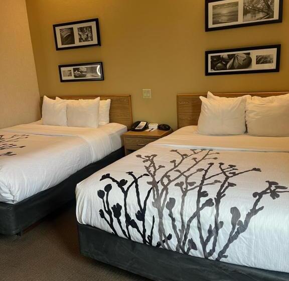 اتاق استاندارد, Sleep Inn Lynchburg   University Area & Hwy 460