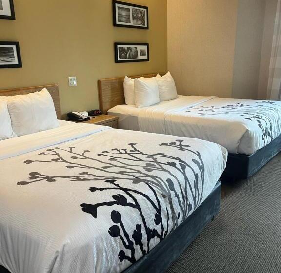 اتاق استاندارد, Sleep Inn Lynchburg   University Area & Hwy 460