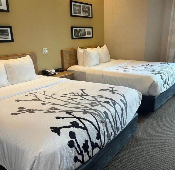 Quarto standard, Sleep Inn