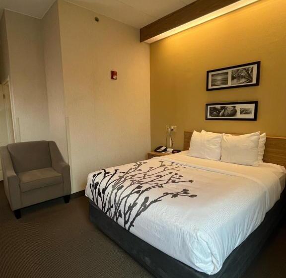 اتاق استاندارد برای معلولان, Sleep Inn Lynchburg   University Area & Hwy 460
