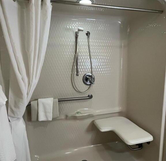 اتاق استاندارد برای معلولان, Sleep Inn Lynchburg   University Area & Hwy 460