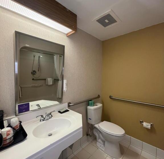 اتاق استاندارد برای معلولان, Sleep Inn Lynchburg   University Area & Hwy 460