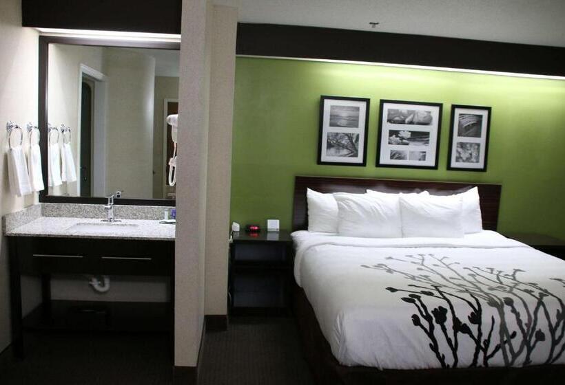 Standard Room Adapted for people with reduced mobility, Sleep Inn Near Great Lakes Naval Base