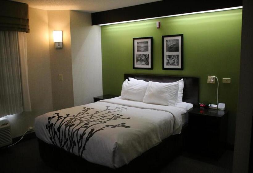 Standard Room Adapted for people with reduced mobility, Sleep Inn Near Great Lakes Naval Base