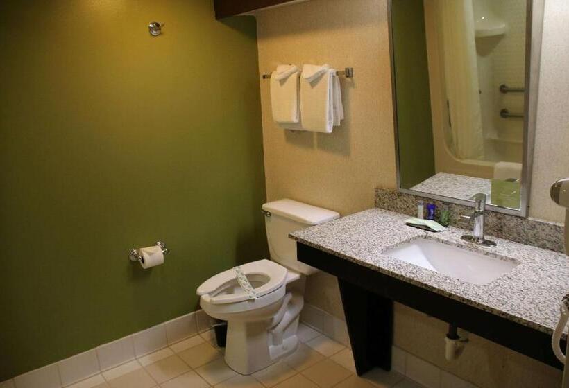 Standard Room Adapted for people with reduced mobility, Sleep Inn Near Great Lakes Naval Base