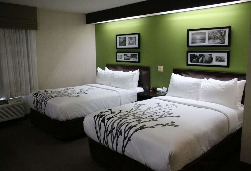 اتاق استاندارد با 2 تخت دوبل, Sleep Inn Near Great Lakes Naval Base