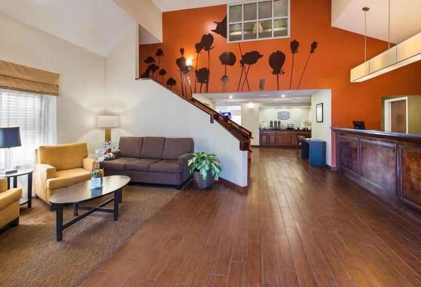 اتاق استاندارد با تخت بزرگ, Sleep Inn North Charleston Ashley Phosphate