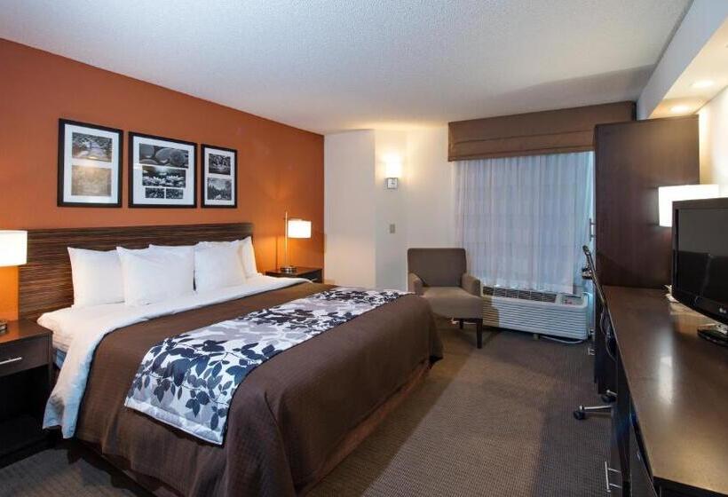 اتاق استاندارد با تخت بزرگ, Sleep Inn North Charleston Ashley Phosphate