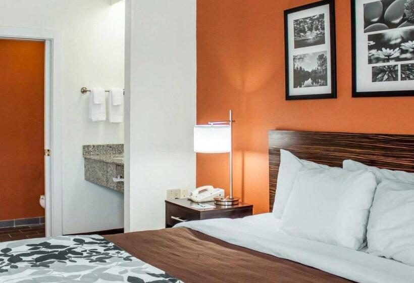 اتاق استاندارد با تخت بزرگ, Sleep Inn North Charleston Ashley Phosphate