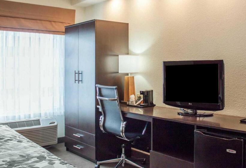 اتاق استاندارد با تخت بزرگ, Sleep Inn North Charleston Ashley Phosphate