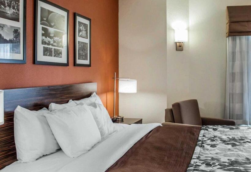 اتاق استاندارد با تخت بزرگ, Sleep Inn North Charleston Ashley Phosphate