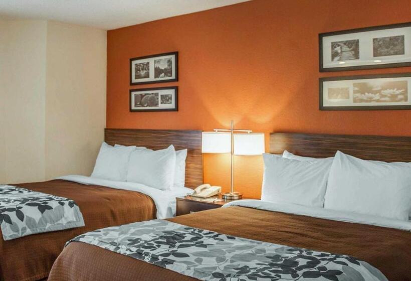 اتاق استاندارد, Sleep Inn North Charleston Ashley Phosphate