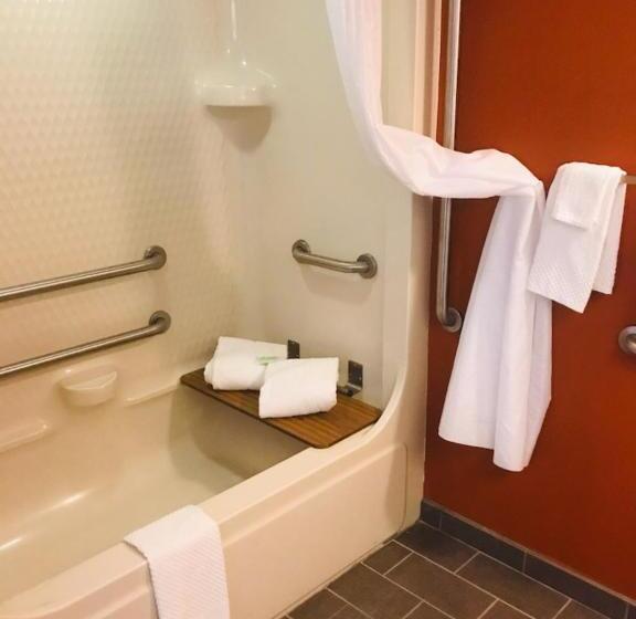 اتاق استاندارد برای معلولان, Sleep Inn North Charleston Ashley Phosphate
