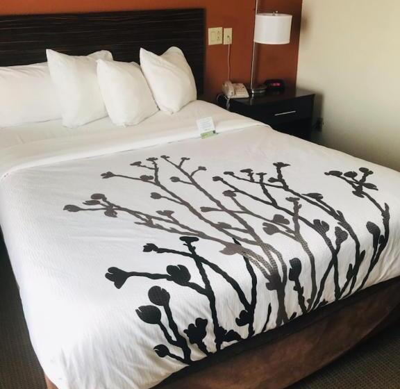 اتاق استاندارد برای معلولان, Sleep Inn North Charleston Ashley Phosphate