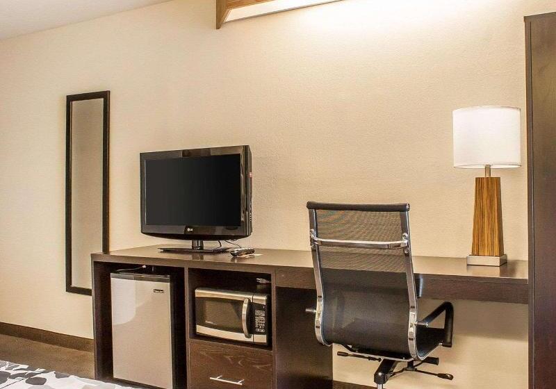سوئیت با تخت بزرگ, Sleep Inn Sea Tac Airport