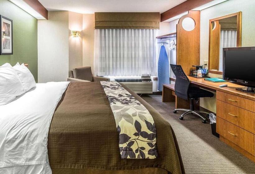 اتاق استاندارد با تخت بزرگ, Sleep Inn & Suites Bay View Acme   Traverse City