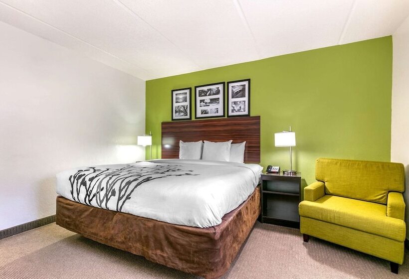 Standard Room Double Bed, Sleep Inn & Suites