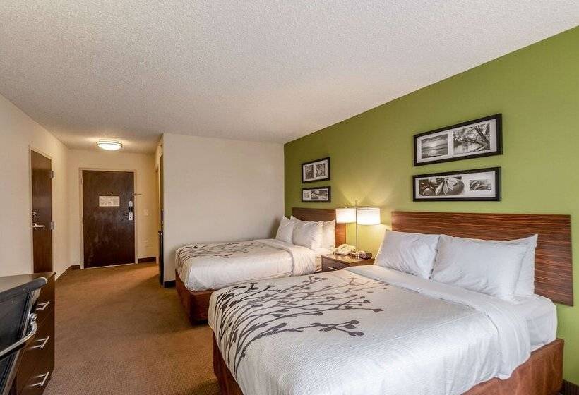 Suite, Sleep Inn & Suites Harrisonburg