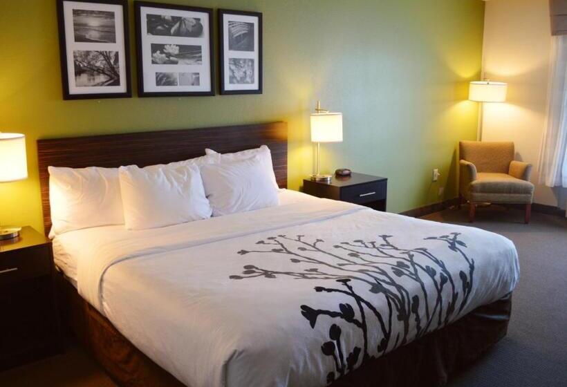 اتاق استاندارد با تخت بزرگ, Sleep Inn & Suites Virginia Horse Center