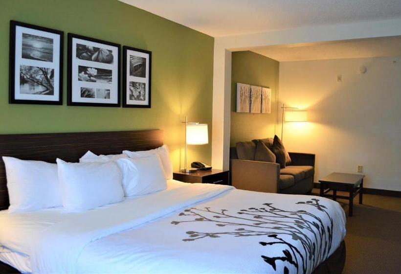 سوئیت با تخت بزرگ, Sleep Inn & Suites Virginia Horse Center