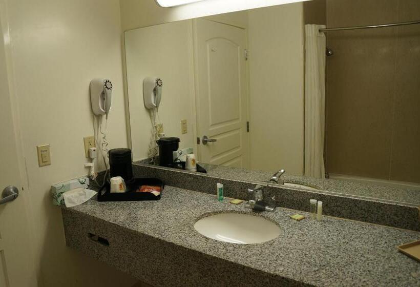 اتاق استاندارد با تخت بزرگ, Torrance Inn Lax Airport Area