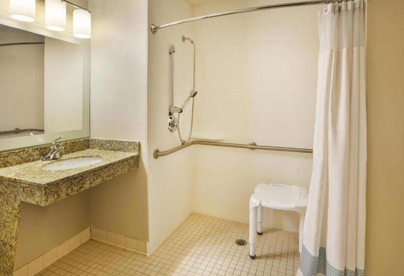 استودیوی استاندارد, Towneplace Suites Detroit Dearborn