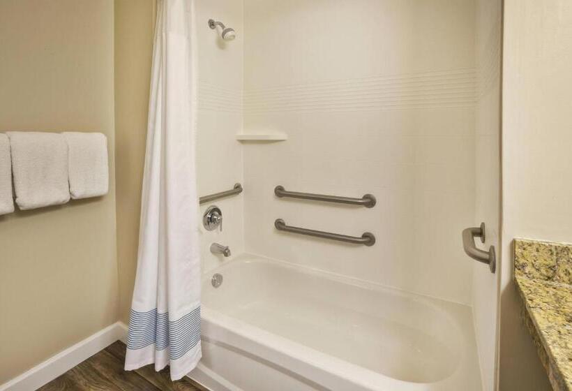 استودیوی استاندارد, Towneplace Suites Detroit Dearborn