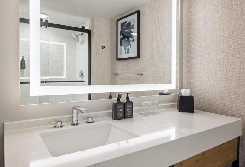 장애인용 디럭스룸, Sheraton Overland Park Hotel At The Convention Center