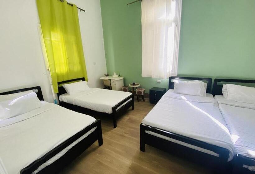 تختخواب در اتاق مشترک, City Hostel Dormitory