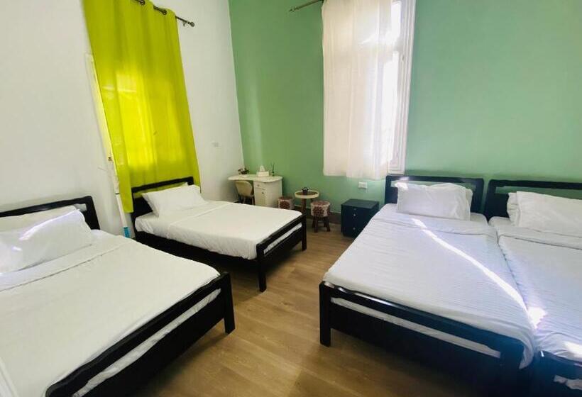تختخواب در اتاق مشترک, City Hostel Dormitory
