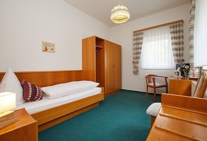اتاق استاندارد یک نفره, Waldhotel Tannmuehle