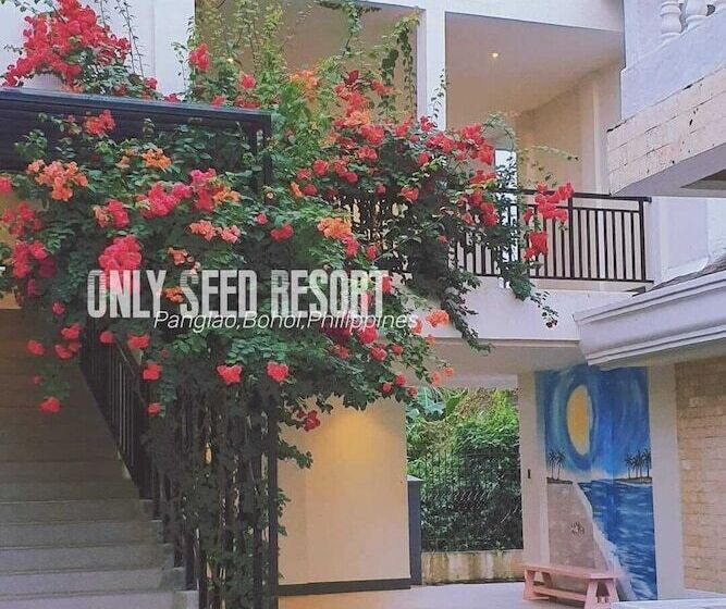 اتاق لوکس با چشم‌انداز استخر, Only Seed Resort