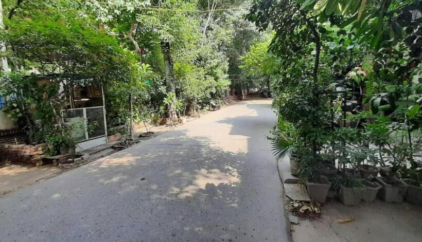 اتاق خانوادگی, Room In Guest Room   Posh S Delhi Foreigners Area, Lajpat Nagar