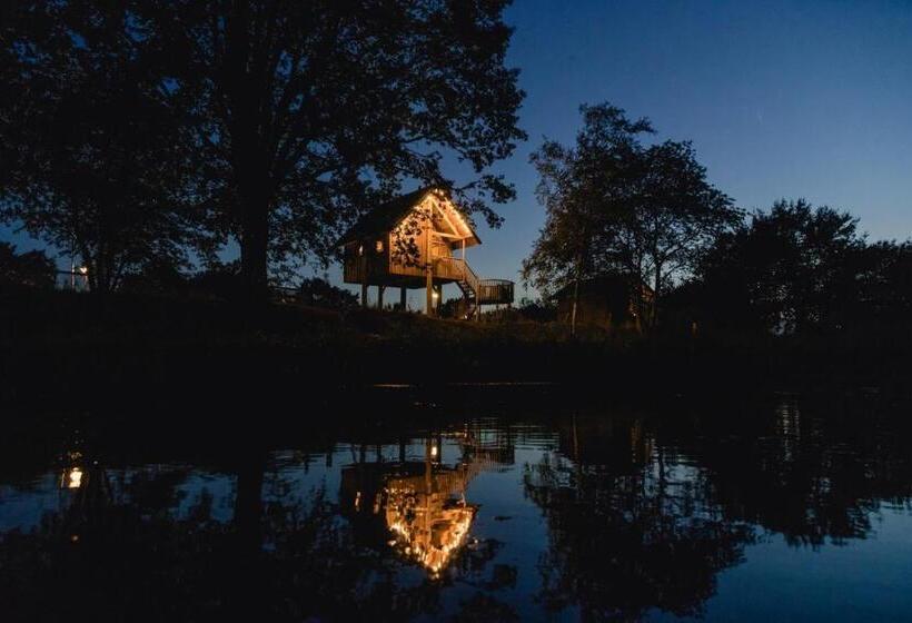 آپارتمان 2 خوابه, Tree House