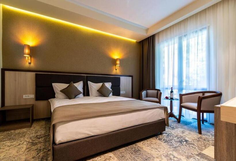 اتاق سوپریور با تخت بزرگ, Izvoare Caciulata