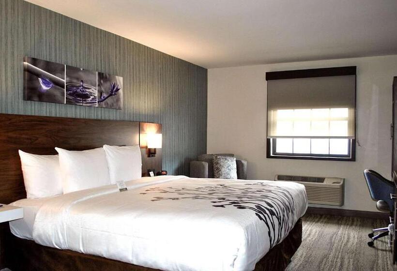 اتاق استاندارد با تخت بزرگ برای معلولان, Mainstay Suites Oakbrook Terrace  Chicago