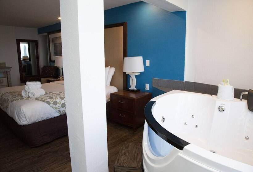 اتاق استاندارد با تخت دوبل و چشم‌انداز دریا, Daytona Dream Inn By Amerivu