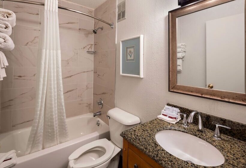 اتاق استاندارد با 2 تخت دوبل, Magnuson Hotel Detroit Metro Airport