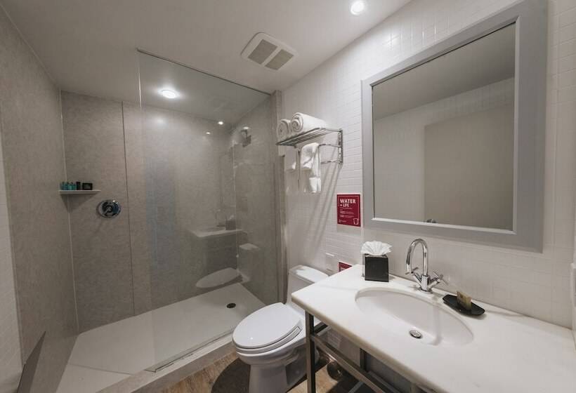 اتاق لوکس, Viajero Miami