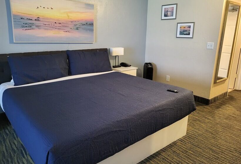 اتاق عادی با تخت دوبل, Beachside Hotel   Daytona Beach   No Pool