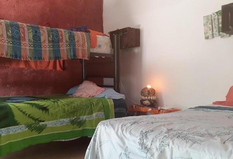 חדר משפחתי, Near Lake Hostal