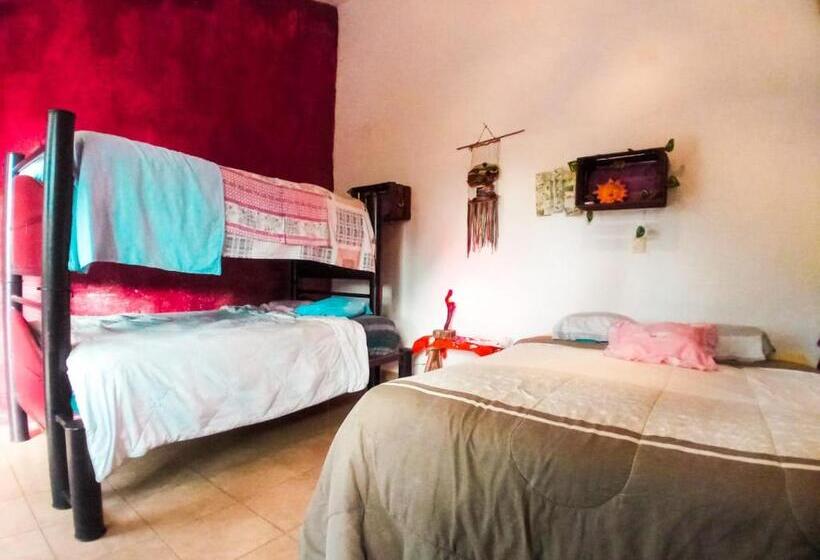 חדר משפחתי, Near Lake Hostal