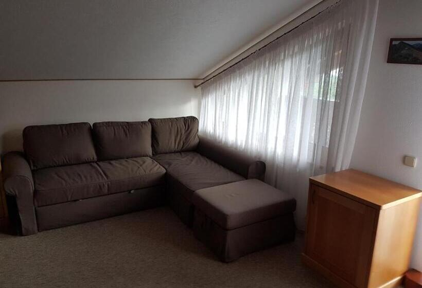 اتاق لوکس با تراس, Atava Family House