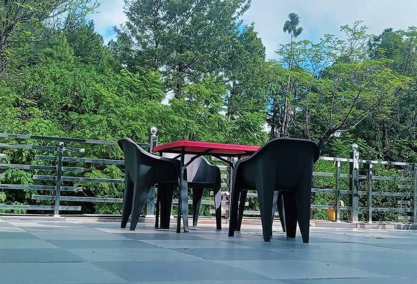 اتاق خانوادگی, Sunny Pines Resort