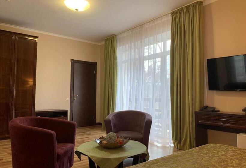 Comfort room with balcony, Viktoria Park