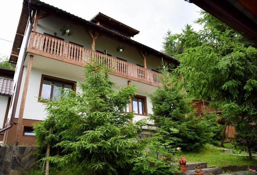 خانه 1 خوابه, Casa Edy