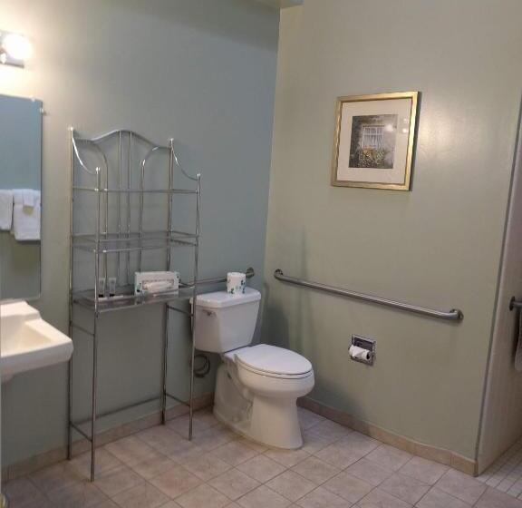 اتاق استاندارد با تخت بزرگ برای معلولان, Butterfly Grove Inn
