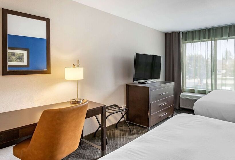 اتاق استاندارد با 2 تخت دوبل, Comfort Inn & Suites Grand Blanc Flint