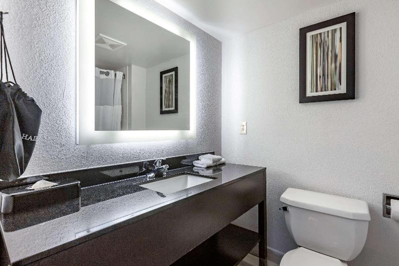 اتاق استاندارد با تخت بزرگ, Comfort Inn & Suites Grand Blanc Flint