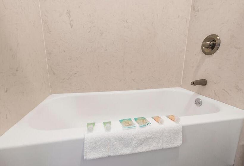 اتاق استاندارد با تخت بزرگ, Heritage Inn Express Chico